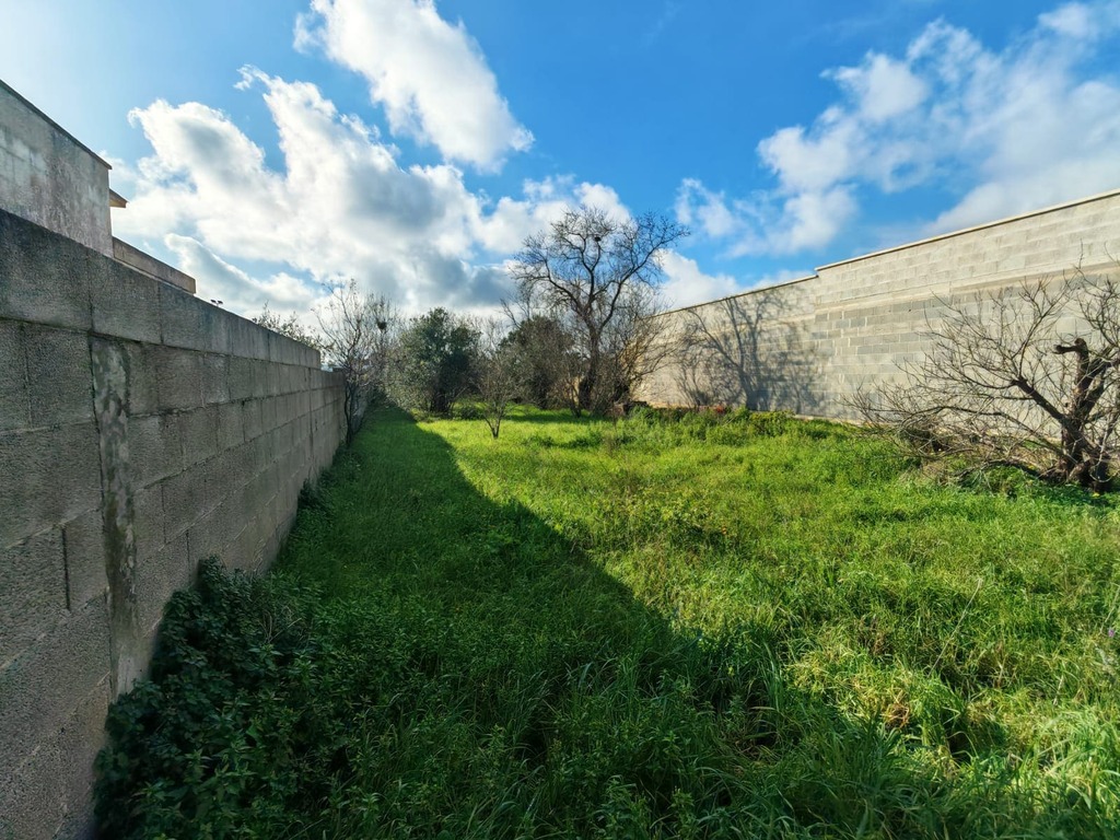 Giano Group Immobiliare